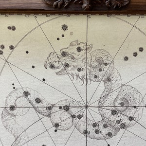 May include: A vintage star chart with a detailed illustration of the constellation Draco, depicted as a dragon. The chart is printed on a cream-colored paper with black ink and features a grid of lines and numbers.