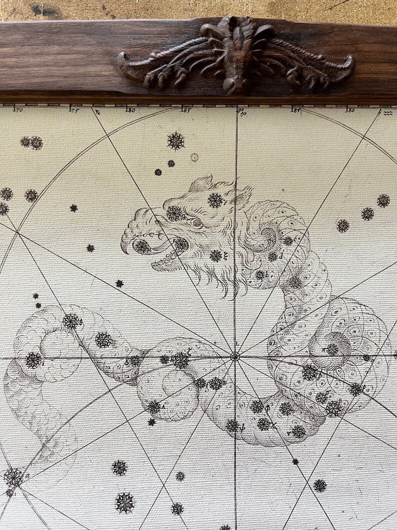 May include: A vintage star chart with a detailed illustration of the constellation Draco, depicted as a dragon. The chart is printed on a cream-colored paper with black ink and features a grid of lines and numbers.