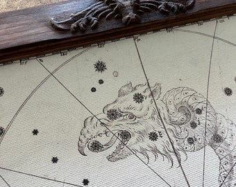 Gift for astrology lover, Constellation Dragon-headed Serpent, 1605.  Ancient walnut frame with carved dragon.