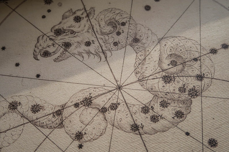 May include: A black and white illustration of a constellation, depicting a dragon-like creature with a long, winding body and a fierce-looking head. The illustration is set against a light beige background with a grid pattern.