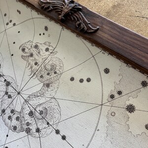 May include: A vintage celestial map framed in dark wood with a decorative metal corner piece. The map features a detailed illustration of a constellation, possibly Draco, with a serpentine shape and numerous stars.