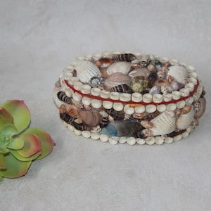 Vintage Sea Shell Trinket Keepsake Box Jewellry Box