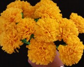 Day of the Dead 12 Marigolds Crepe Paper Flowers, Dia de Los Muertos, Buttercup Yellow, Mexican Flowers, Wedding, Cinco de Mayo, Halloween
