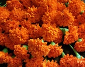 Day of the Dead 12 Orange Marigolds Crepe Paper Flowers, Dia de Los Muertos, Mexican Flowers, Wedding, Baby Shower, Valentine 39 s Day, Fiesta