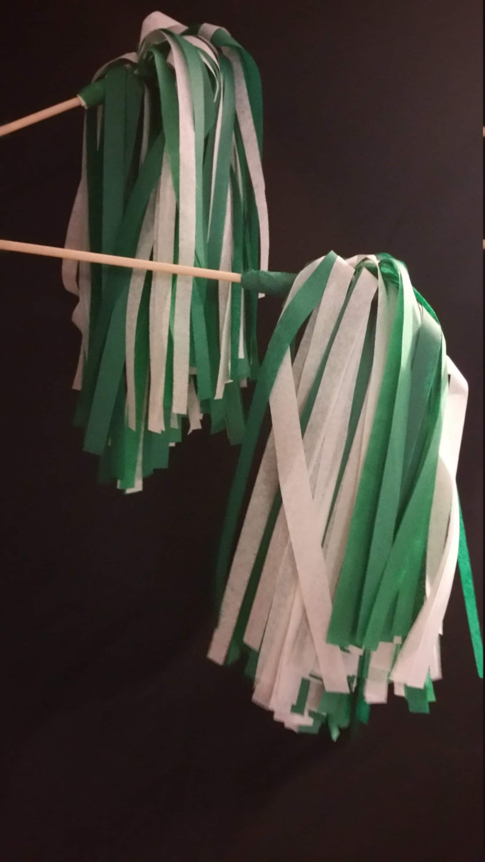 Philadelphia Eagles 10 Cheerleader Pom Poms Shakers Green Etsy