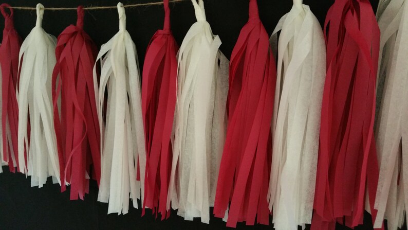 Only 14.50 Valentine/'s Party Banner Red and White Fringe 10 Tassel Valentine/'s Day Tissue Paper Garland Happy Birthday Decorations