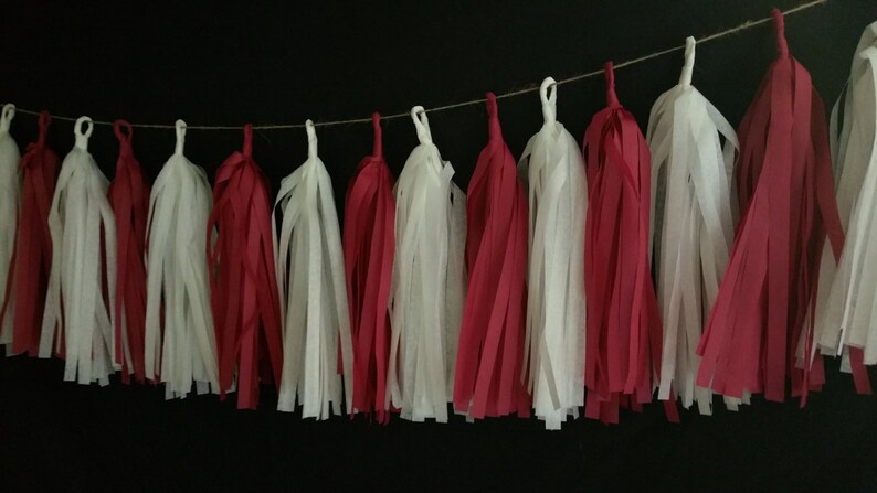 Only 14.50 Valentine/'s Party Banner Red and White Fringe 10 Tassel Valentine/'s Day Tissue Paper Garland Happy Birthday Decorations