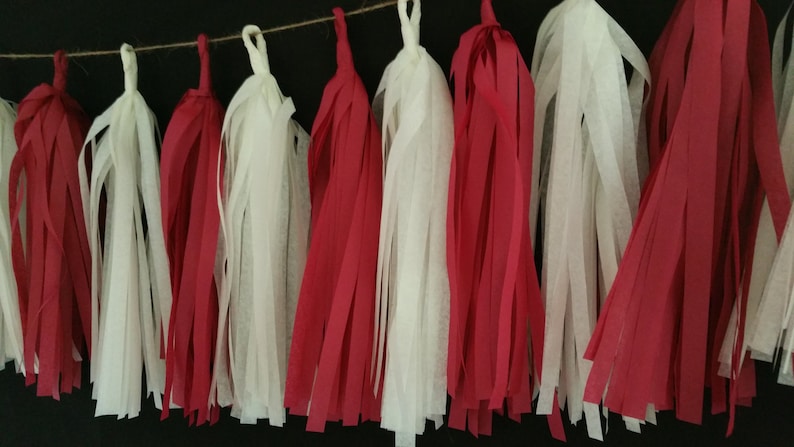 Only 14.50 Valentine/'s Party Banner Red and White Fringe 10 Tassel Valentine/'s Day Tissue Paper Garland Happy Birthday Decorations