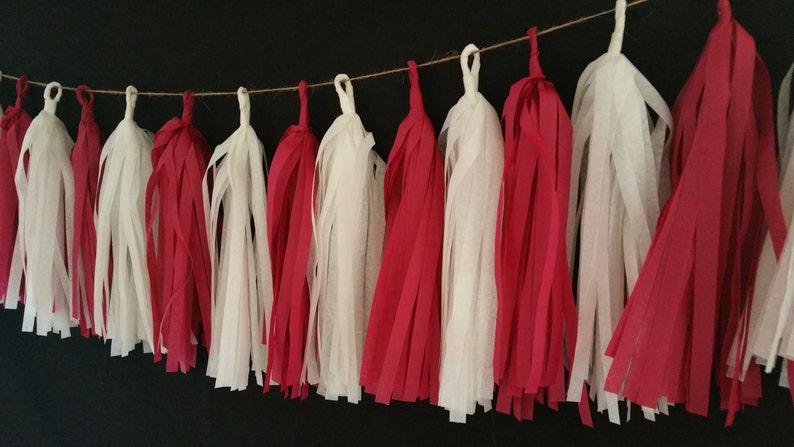 Only 14.50 Valentine/'s Party Banner Red and White Fringe 10 Tassel Valentine/'s Day Tissue Paper Garland Happy Birthday Decorations