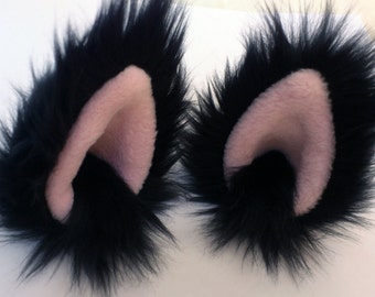 red algae in fish tank