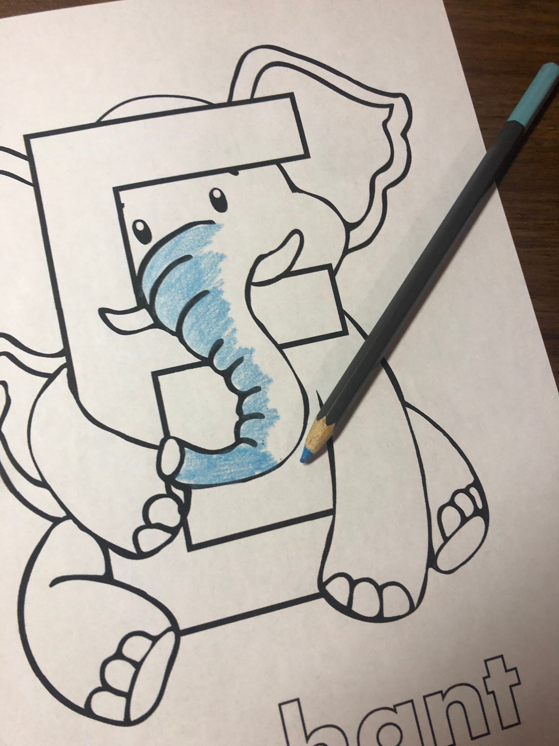 E is for Elephant Abcs Coloring Page Alphabet Printable Digital