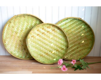 Set of (3) Round Nesting Winnowing Flat Baskets with Green Hue