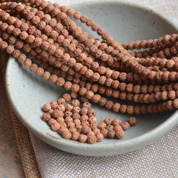 5mm Rudraksha Seed Beads Natural Rudraksha Beads Mala Making Etsy