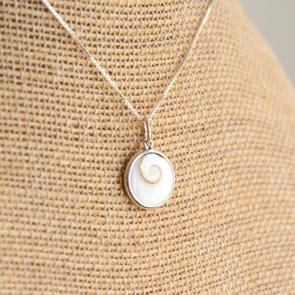 Operculum Shell - Etsy