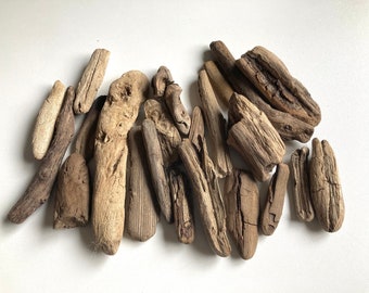 Sea driftwood set, beach wood pieces for crafts, art projects, home decor, Baltic sea finds