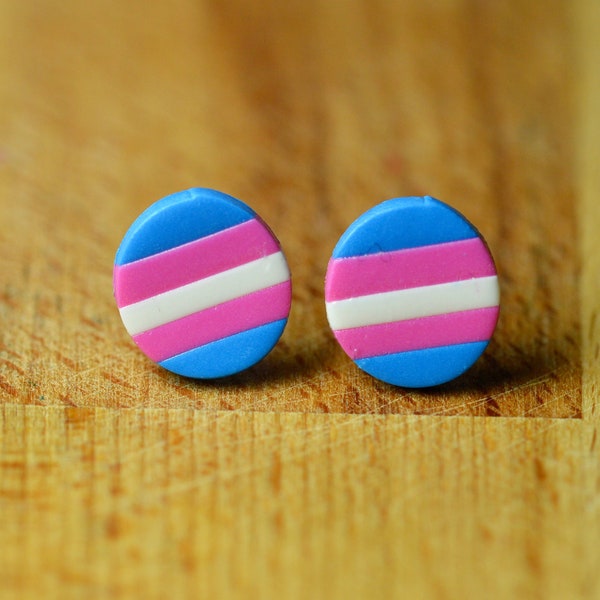 Transgender Pride Gift Earrings