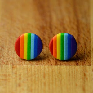 May include: Two round stud earrings with a rainbow striped design. The earrings feature vertical stripes in red, orange, yellow, green, blue, and purple. They are set against a wooden background.