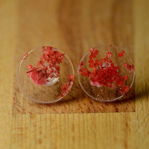May include: A pair of clear, circular earrings featuring dried red flowers set in resin. The earrings are displayed on a wooden surface, highlighting the intricate floral elements and transparent design. A unique accessory.