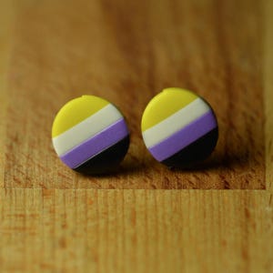 Non-Binary Pride Earrings