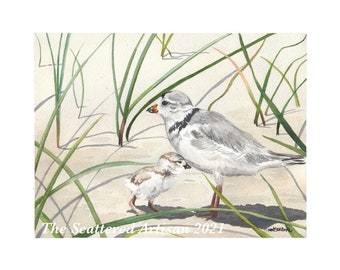 Original watercolor painting.  10"x8". "Plover Mother and Chick"