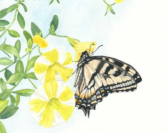 Original watercolor painting.  8"x8". "Eastern Tiger Swallowtail"