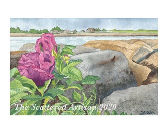 Original watercolor painting.  9.5" x 6.5". "Rosa Rugosa at Marginal Way". Wells, Maine