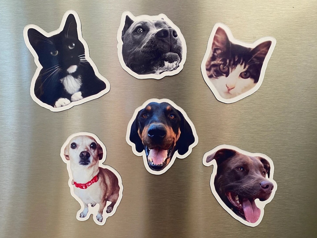 Custom Pet Set, Cat Dog Pet Photo