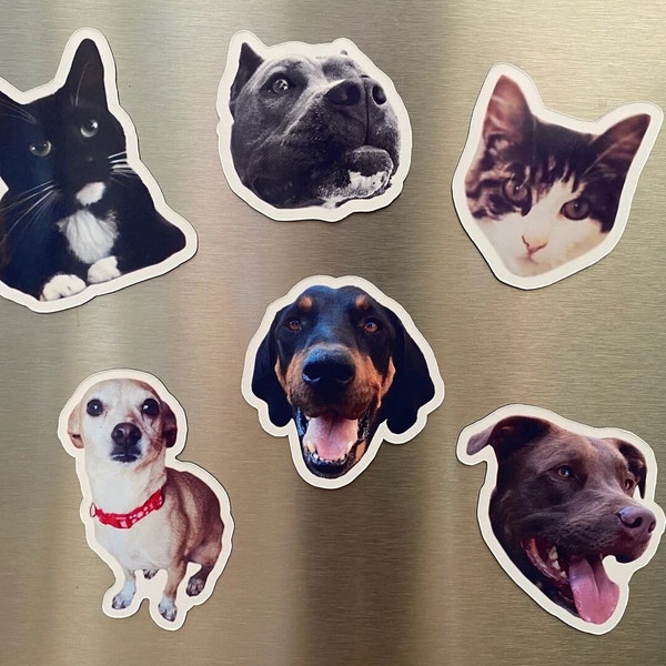 Custom Pet Magnets Set, Cat Magnet, Dog Magnet, Pet Photo Magnet, Personalized Pet Gift - Head Only or Full Body