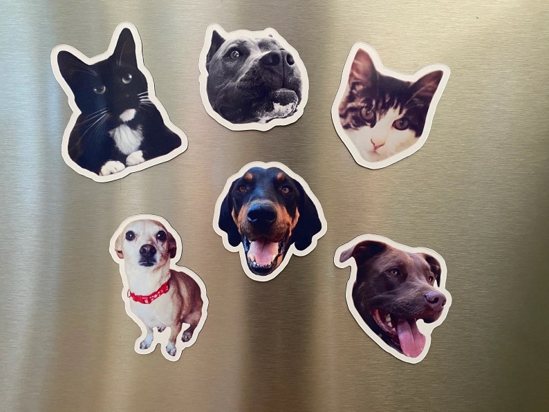 Custom Pet Magnets Set Cat Magnet Dog Magnet Pet Photo image 1