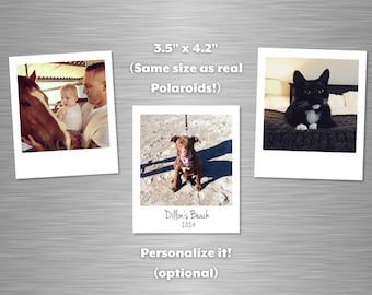 May include: Three Polaroid-style photos, each 3.5 inches by 4.2 inches, featuring a father and baby looking at a horse, a brown dog sitting on a beach, and a black and white cat sitting on a bed. The photos have white borders and are printed with the text "Dillon's Beach 2024" on the bottom of the dog photo.