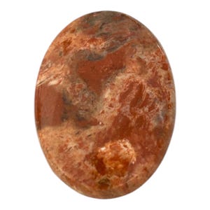 Dino Bone 30mm Cab Flatback Cabochon | Undrilled Crystal Gemstone Natural Stone | Polished Focal Gem | Great for Wire Wrapping