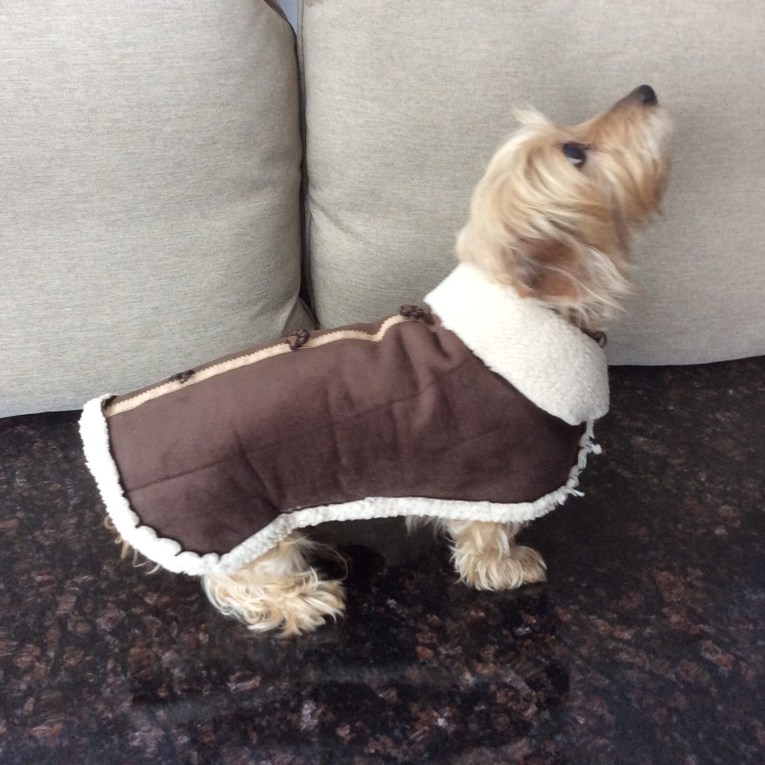 Suede and Sherpa Dog Coat Etsy
