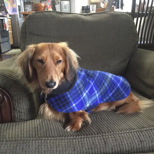 Blue Plaid Dog Coat Etsy