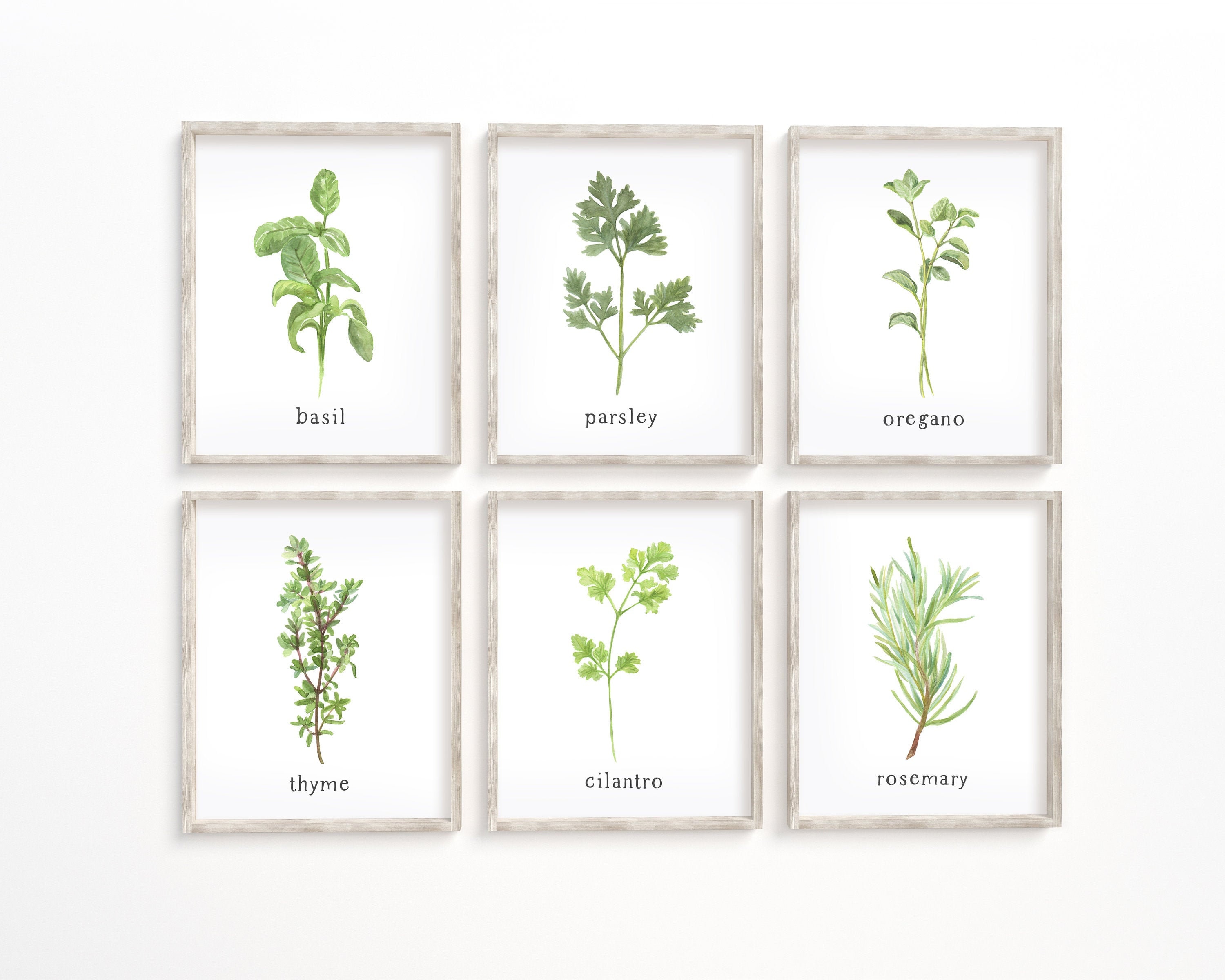 Set of 6 Herb Printables Kitchen Herb Prints Watercolor | Etsy