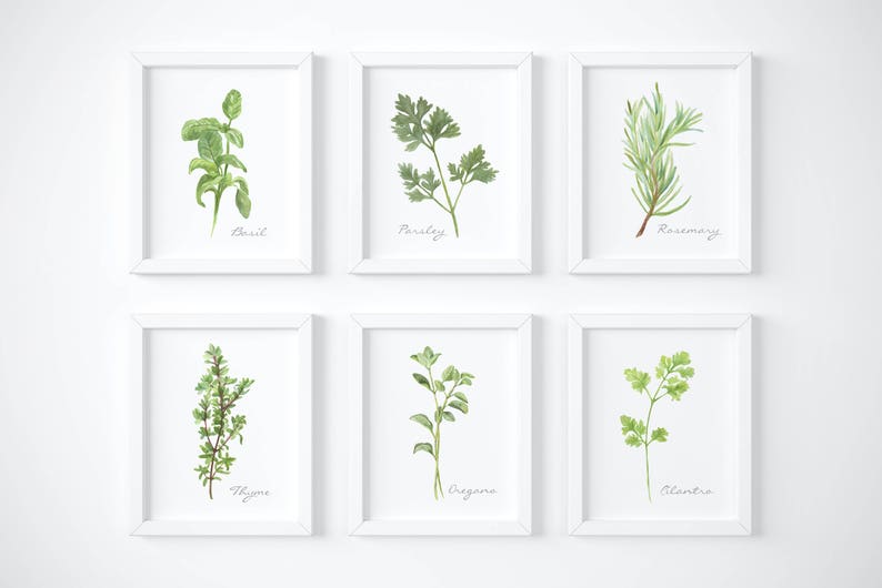 Herb Prints Kitchen Herb Printable Watercolor Herbs Wall | Etsy