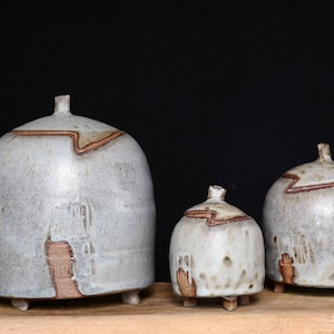 Tea/ Spice Jars