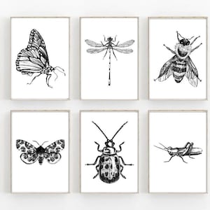 Bugs Prints, Bug printable art, School Room Decor, Kids room decor,Playroom wall art, Prints for kids,Cute bugs,Insect wall art,Insect print