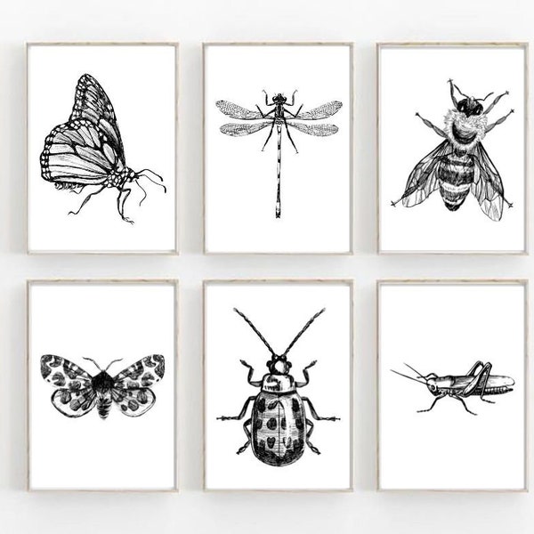 Bugs Prints, Bug printable art, School Room Decor, Kids room decor,Playroom wall art, Prints for kids,Cute bugs,Insect wall art,Insect print