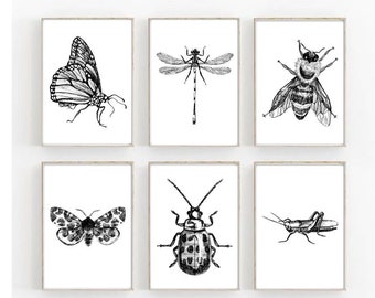 Käfer Drucke, Käfer druckbare Kunst, Schulzimmer Deko, Kinderzimmer Deko, Spielzimmer Wandkunst, Drucke für Kinder, Süße Käfer, Insekten Wandkunst