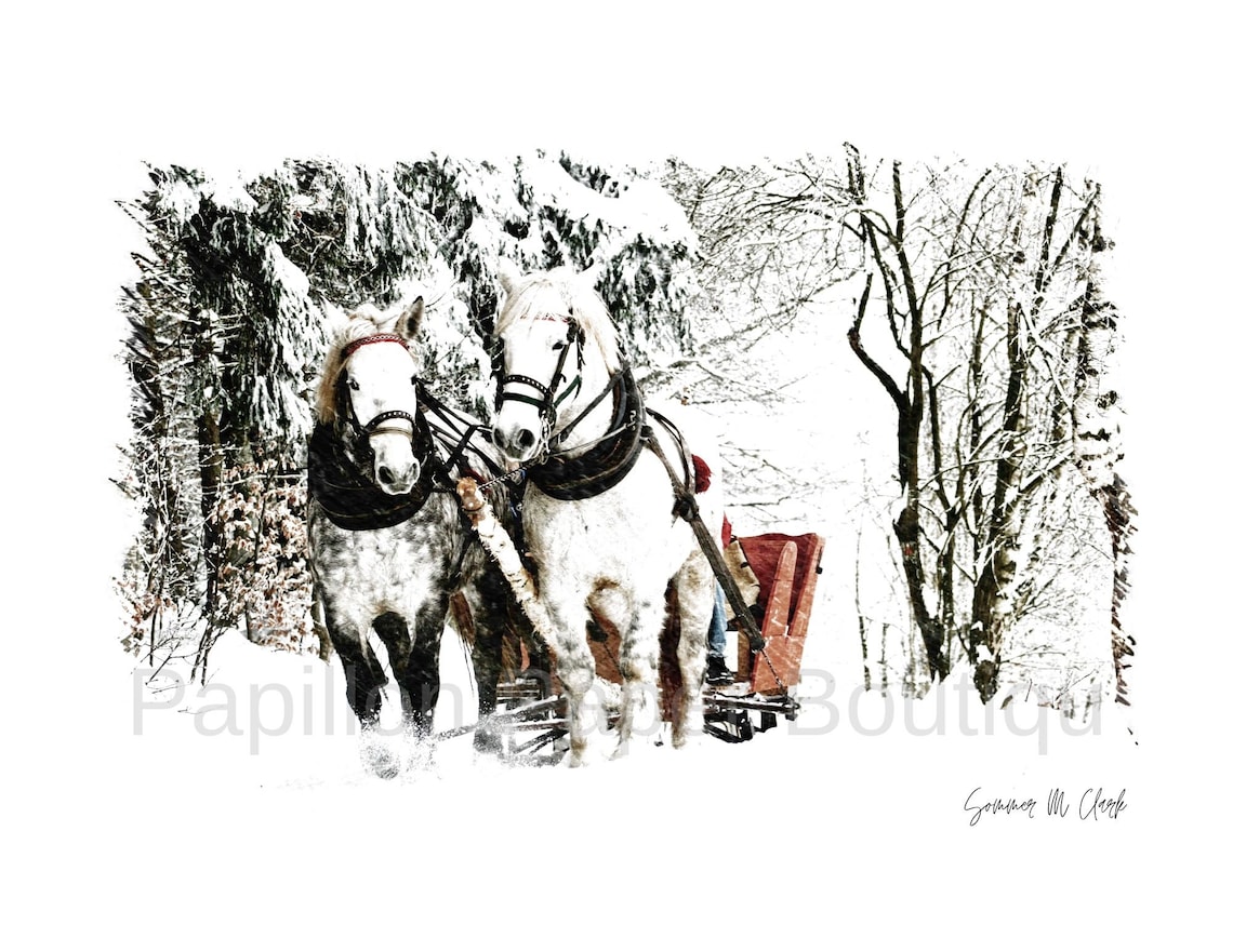 Horse Drawn Sleigh Art, Horse Drawn Sleigh Photography, Horses in Snow ...