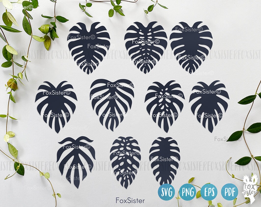 Monstera Leaf Svg Bundle for Cricut and Silhouette, Leaf Svg, Palm Leaf ...