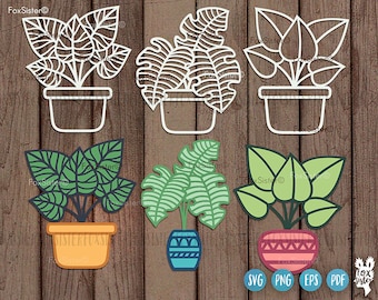 Haus Pflanzen SVG geschnitten Datei, Pflanze geschnitten Datei, Pflanze Clipart, Pflanze geschnitten, Topfpflanzen svg, in Töpfen svg, png, FoxSister, Pflanzen Digitale Vorlage