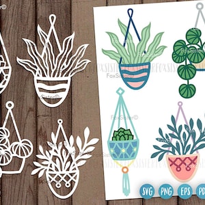 Archivos de corte de plantas Svg para Cricut y Silhouette, plantas colgantes Svg, plantas lindas Svg, cesta colgante Svg, FoxSister, suculentas Svg