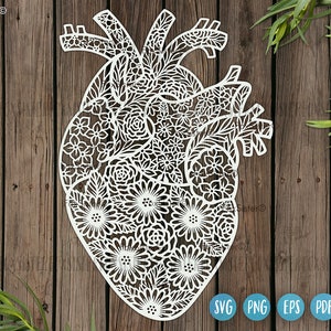 Heart svg design for Cricut and Silhouette, valentine svg, love svg, hearts svg, heart clip art, valentines day svg, anatomical heart svg