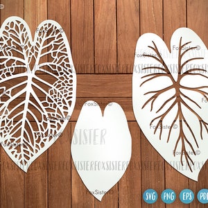 Leaves Svg designs Set 11, Tropical Leaf Svg File, Leaves Cut File, Hand Drawn Leaves, Plants Svg, Leaf Cricut, Leaf Silhouette, Nature Svg
