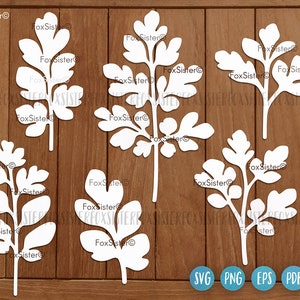 Pacote de folhas Svg, Folha Svg, Folhas cortando Svg, Elementos de coroa svg, Natureza svg, Plantas svg, Cricut svg, Silhueta svg, folhas de flores svg