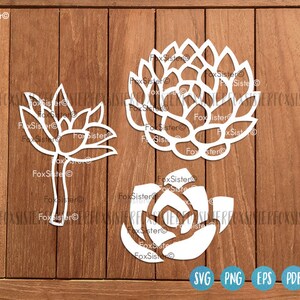May include: Three white, cutout, decorative designs of stylized succulents. The designs are on a wood background.