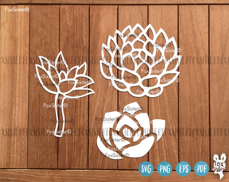 May include: Three white, cutout, decorative designs of stylized succulents. The designs are on a wood background.