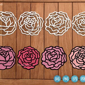 May include: Set of eight digital cut files featuring rose flower designs. Four designs are in white and four are in pink. The designs are perfect for crafting projects like card making, scrapbooking, and home decor.