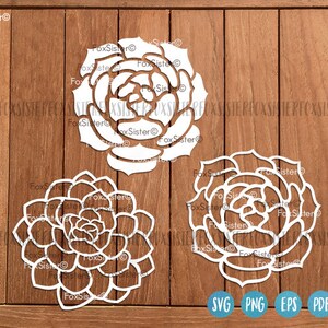 May include: Three white cutout designs of succulent plants on a wood background. The designs are intricate and detailed, with multiple layers of petals.